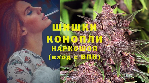 стафф Магас