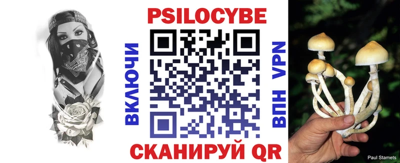 Галлюциногенные грибы Cubensis  дарк нет какой сайт  Петрозаводск  купить  