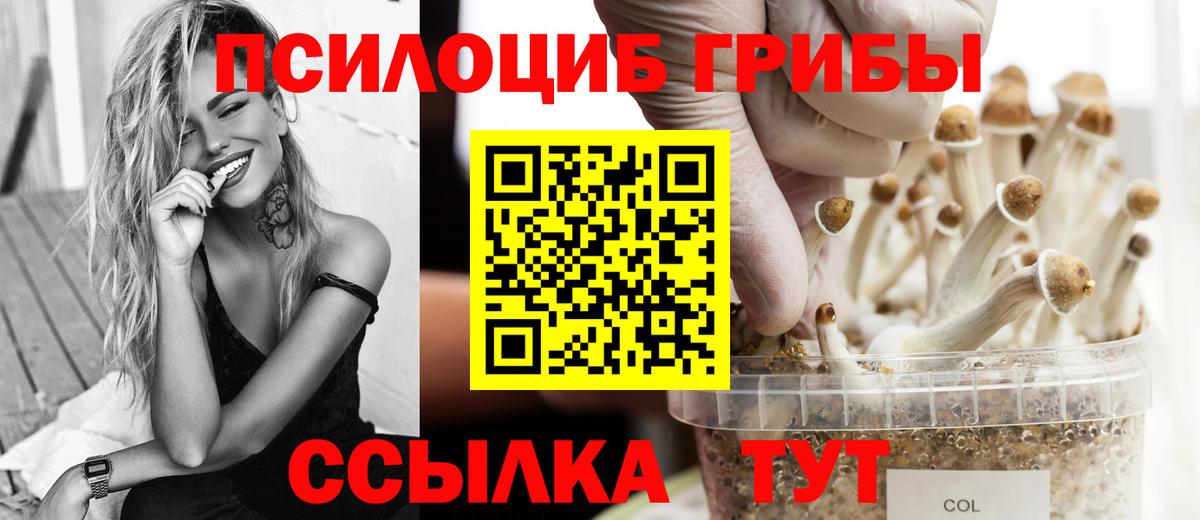 Галлюциногенные грибы мухоморы Петрозаводск