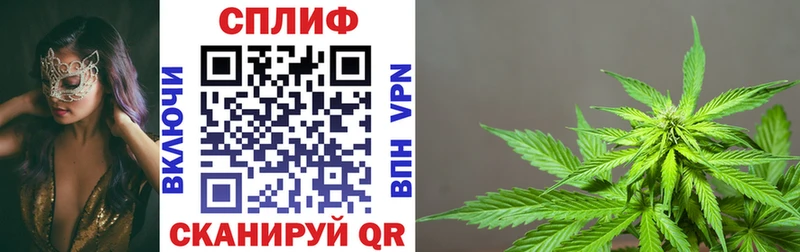 Шишки марихуана SATIVA & INDICA  даркнет сайт  Петрозаводск 